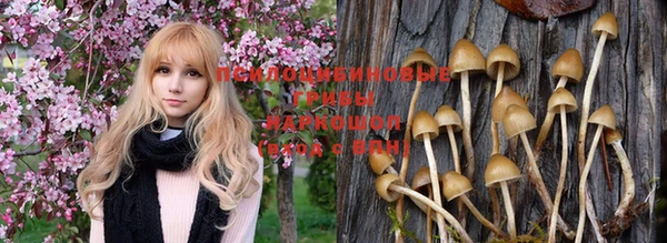 spice Нефтегорск