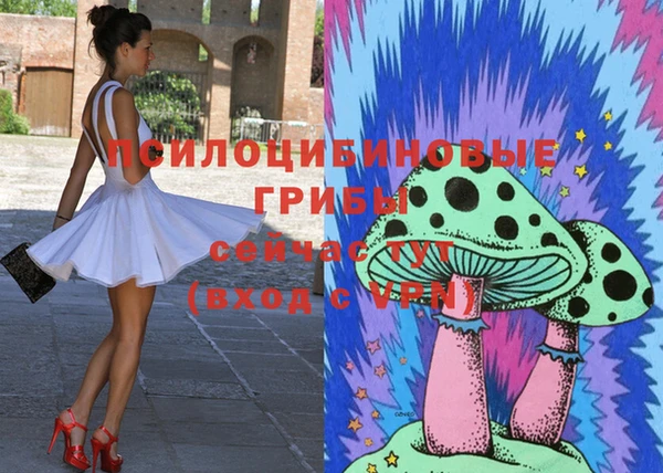 spice Сосновка